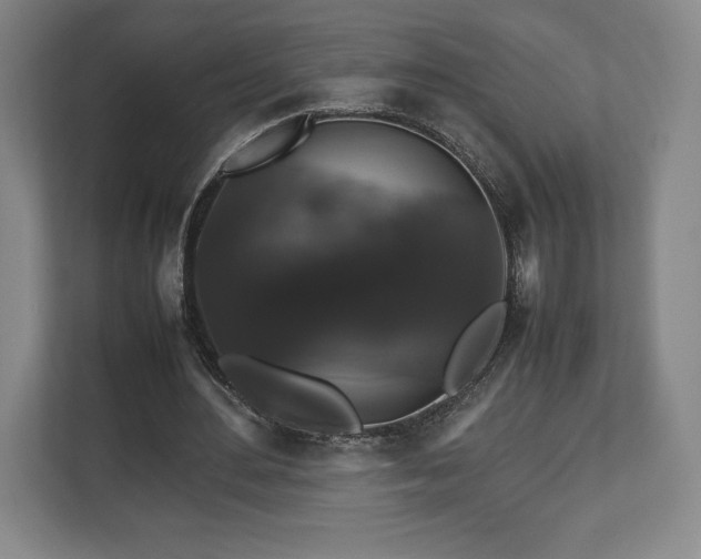 X0000112530484200908241510