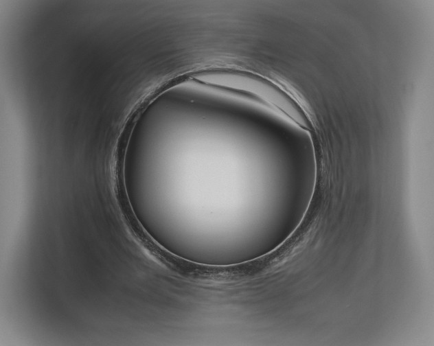 X0000112530485200908241510