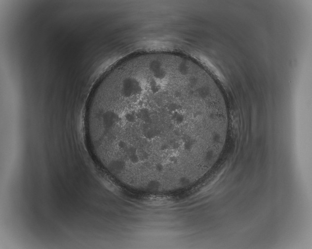 X0000112530487200908241510