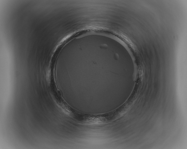 X0000112530488200908241510