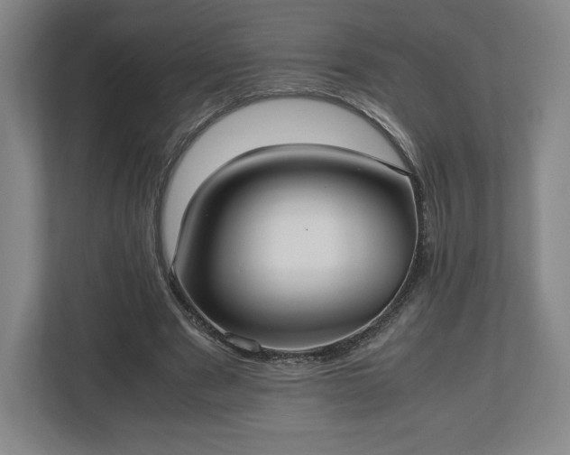 X0000112530489200908241510