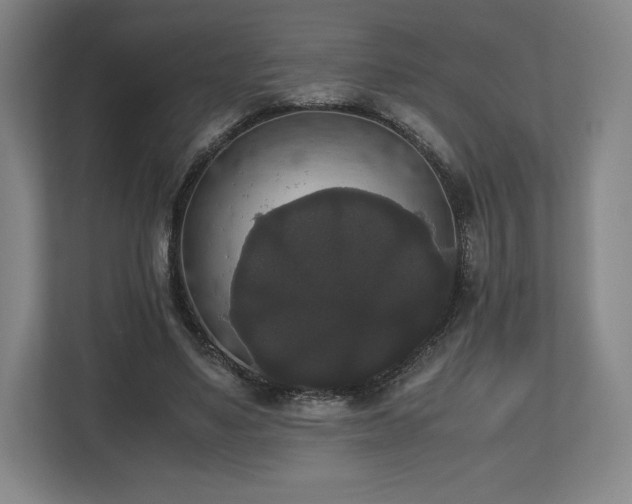 X0000112530491200908241510