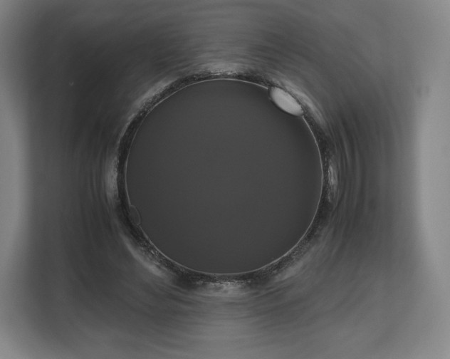 X0000112530492200908241510