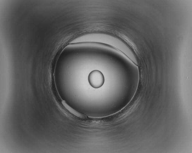 X0000112530493200908241509