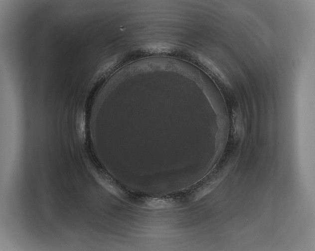 X0000112530494200908241509