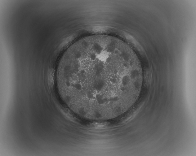 X0000112530495200908241509