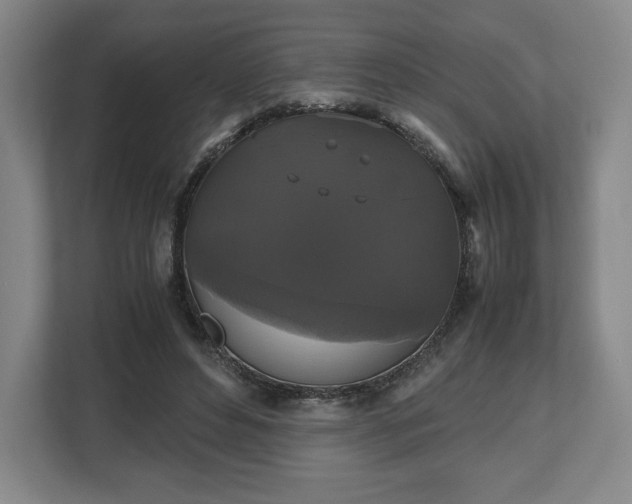 X0000112530496200908241509