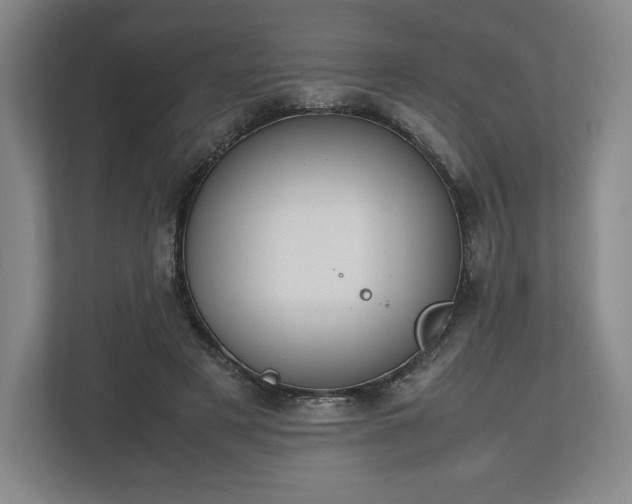 X0000112530497200908241509
