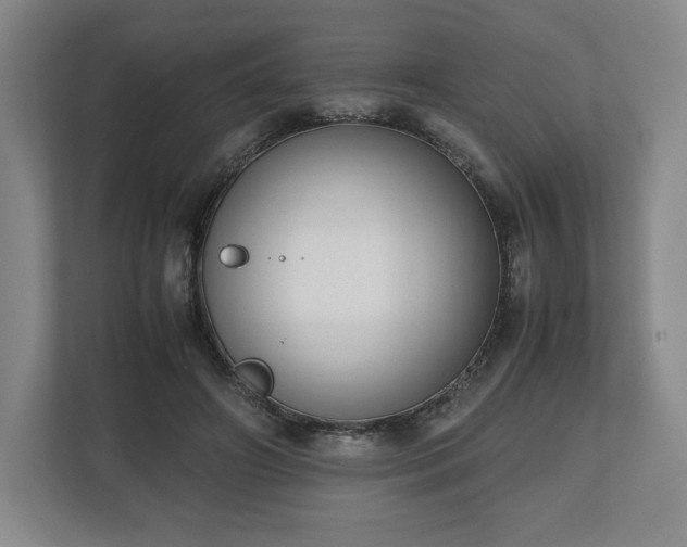 X0000112530498200908241509