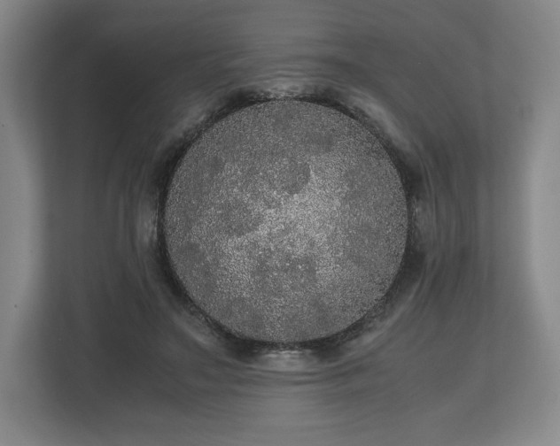 X0000112530499200908241509