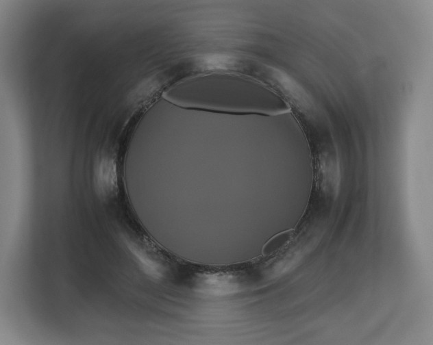 X0000112530500200908241509