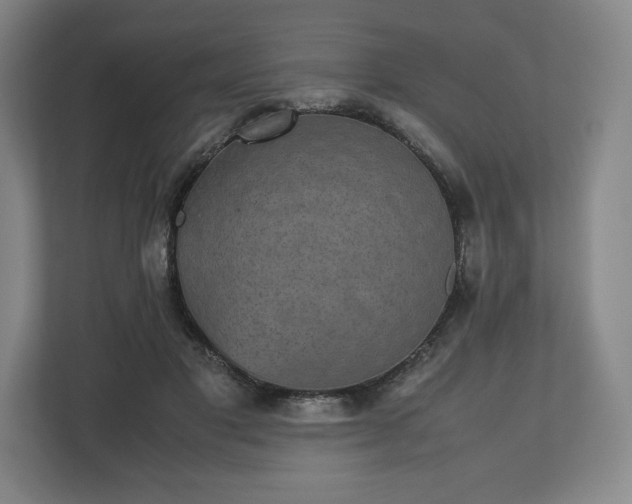 X0000112530501200908241509
