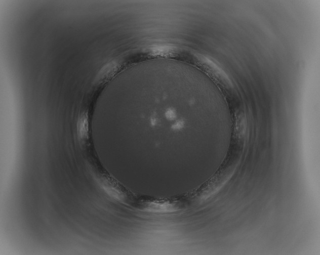 X0000112530502200908241509