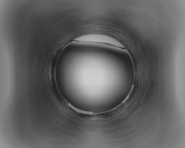 X0000112530504200908241509