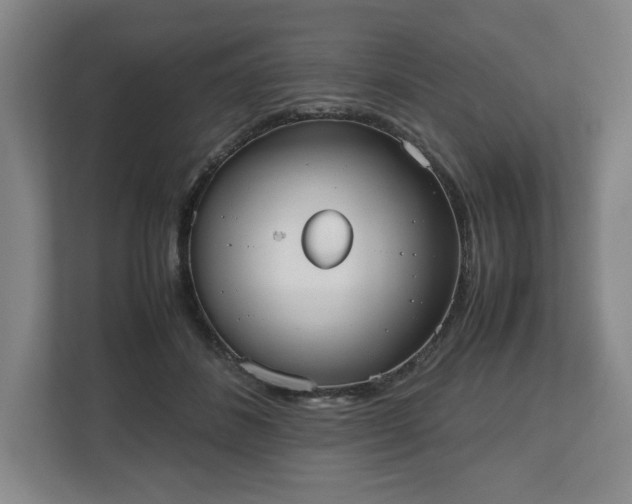 X0000112530508200908241509
