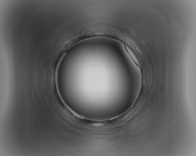 X0000112530509200908241509