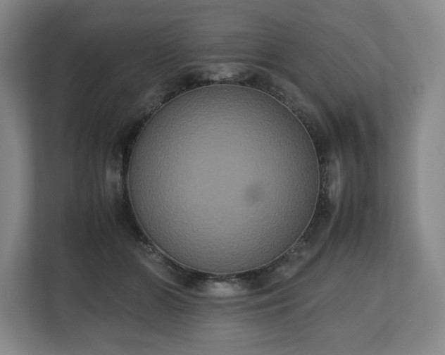 X0000112530510200908241509