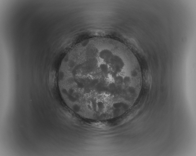 X0000112530511200908241509