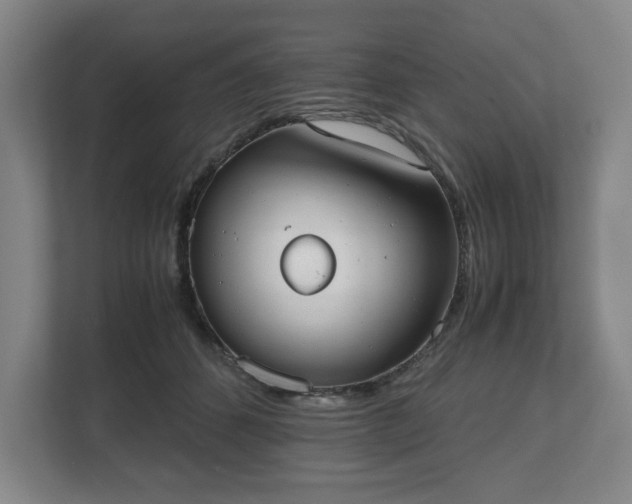 X0000112530512200908241509
