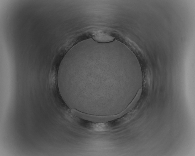 X0000112530513200908241509