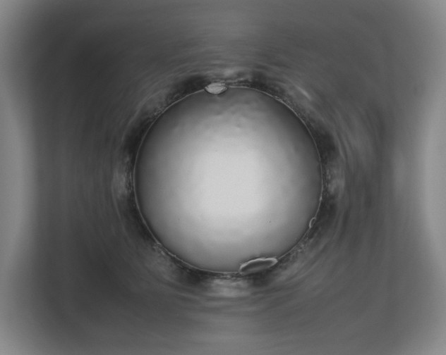X0000112530515200908241509