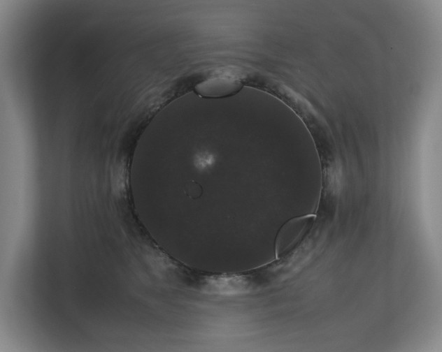 X0000112530517200908241509