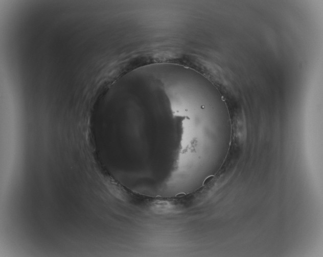 X0000112530519200908241509