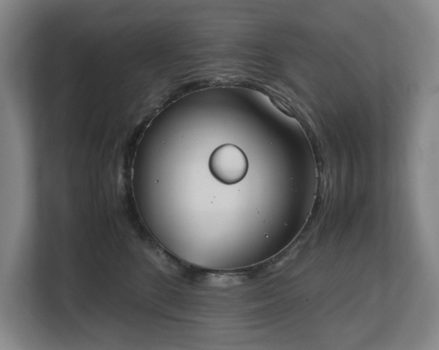 X0000112530520200908241509