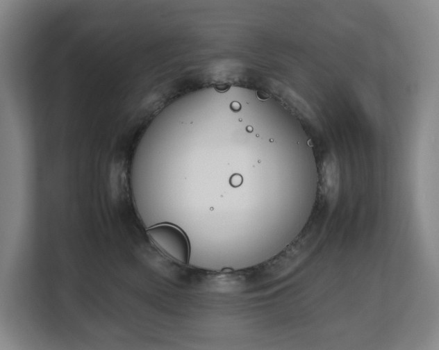 X0000112530522200908241509