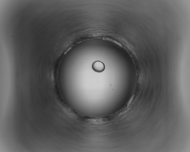 X0000112530524200908241509
