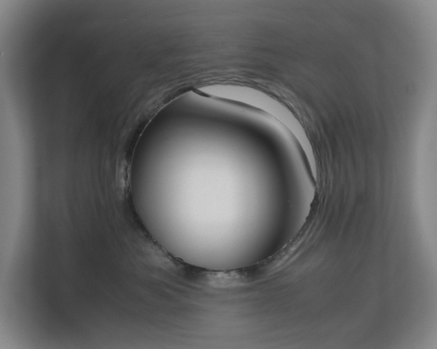 X0000112530525200908241509