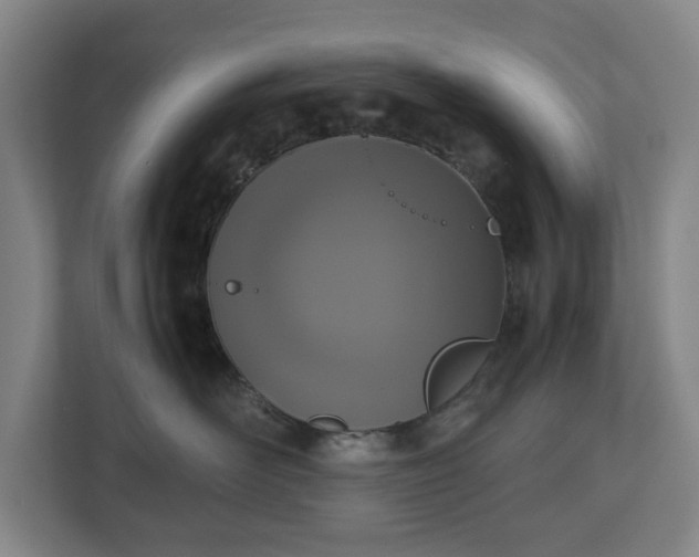 X0000112530526200908241509