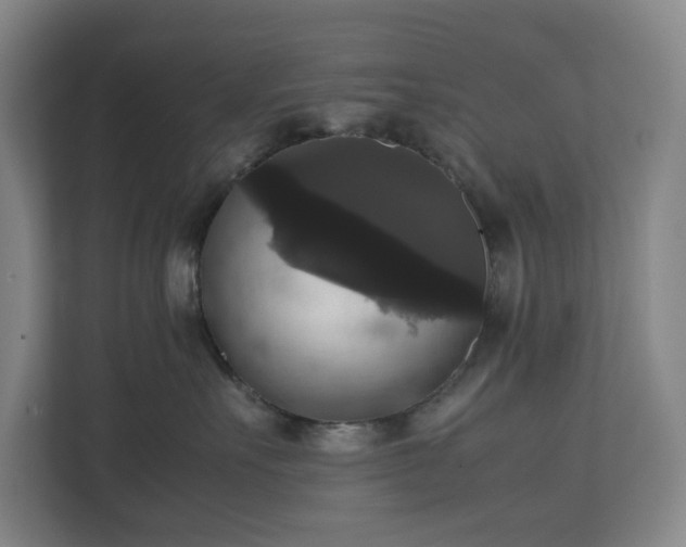 X0000112530527200908241509