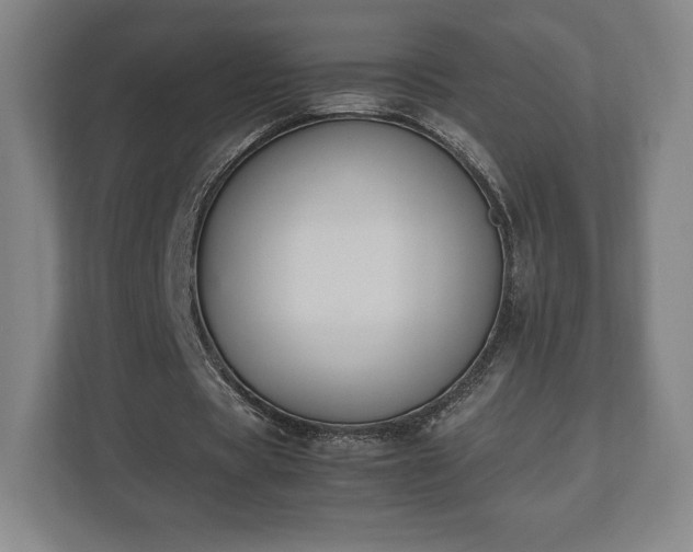 X0000112530529200908241508