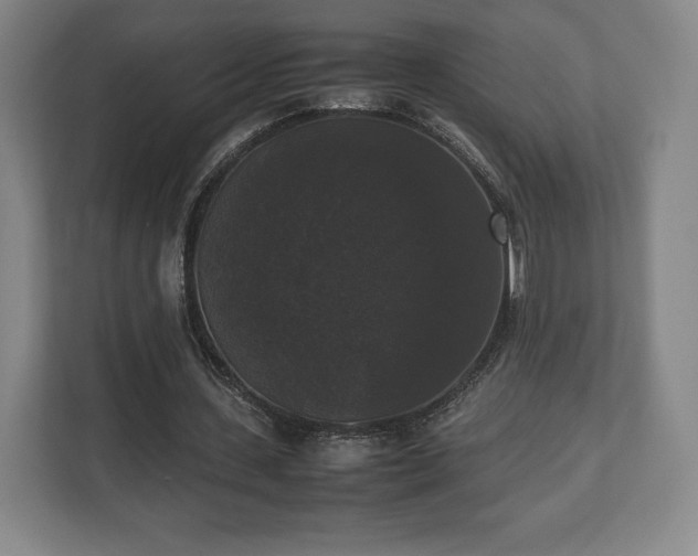 X0000112530531200908241508