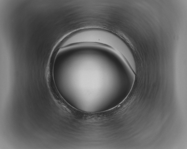 X0000112530532200908241508