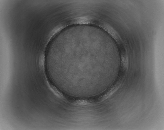 X0000112530534200908241508