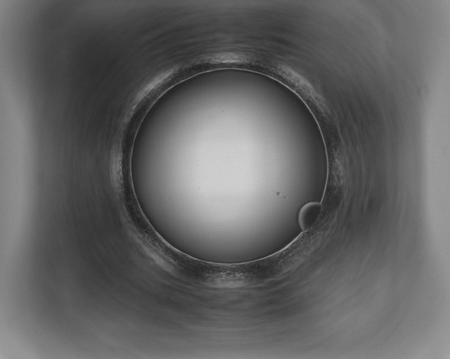 X0000112530535200908241508