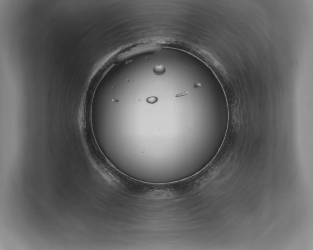 X0000112530536200908241508