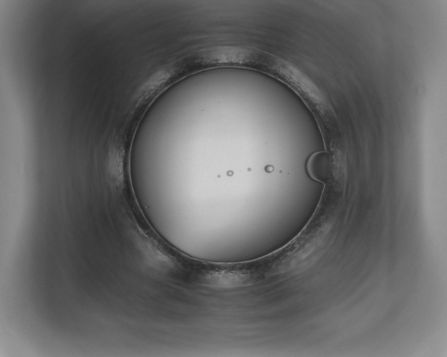 X0000112530537200908241509