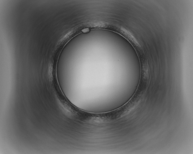 X0000112530538200908241509