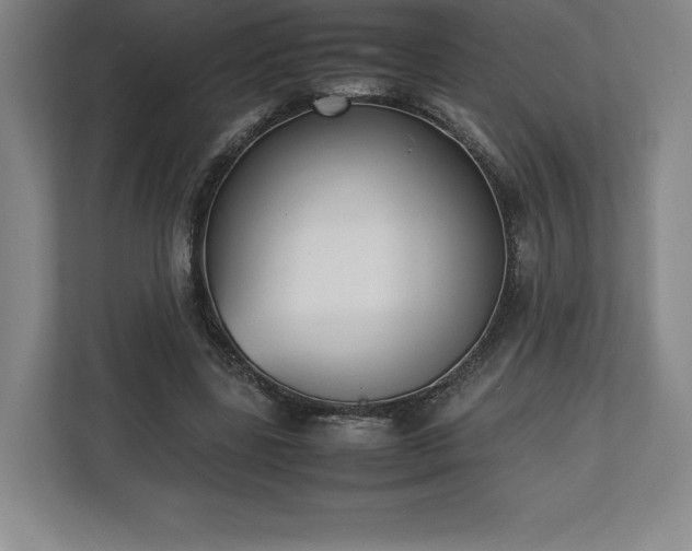 X0000112530539200908241509
