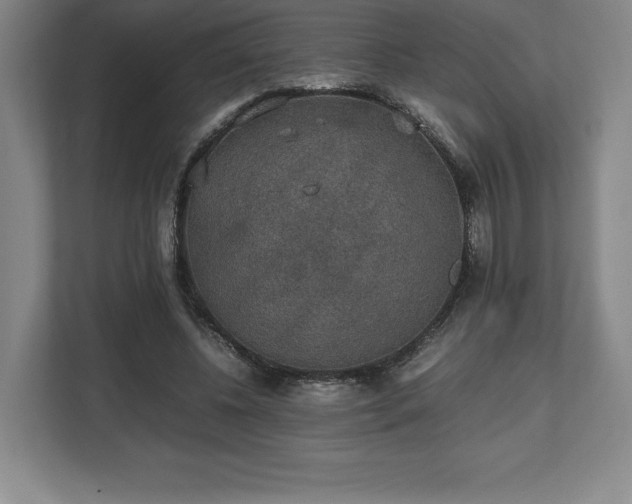 X0000112530540200908241509