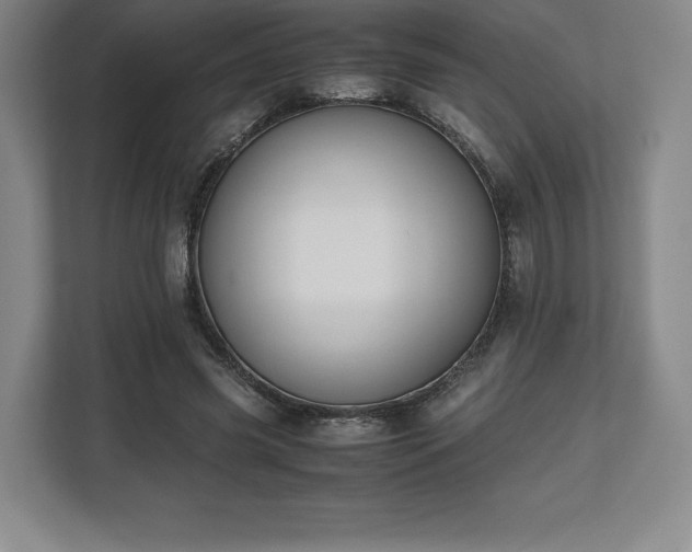 X0000112530541200908241509