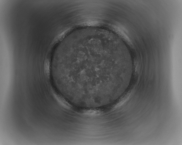 X0000112530542200908241509