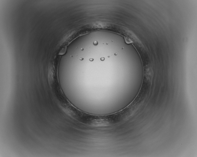 X0000112530544200908241509