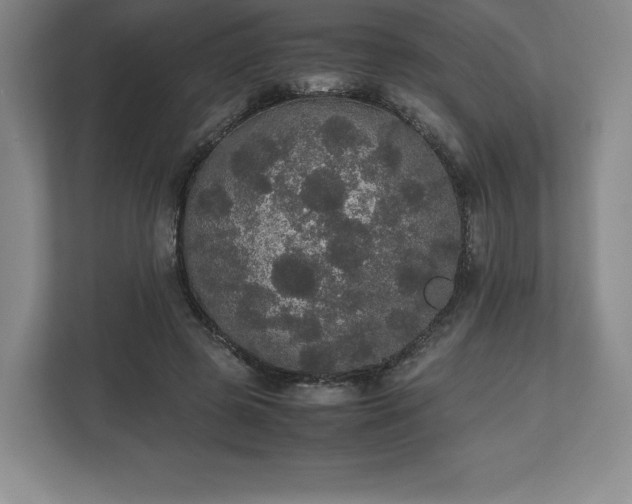 X0000112530545200908241509