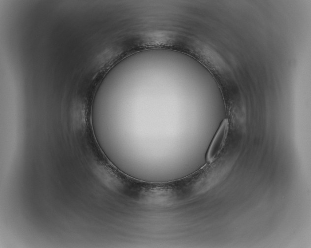 X0000112530546200908241509