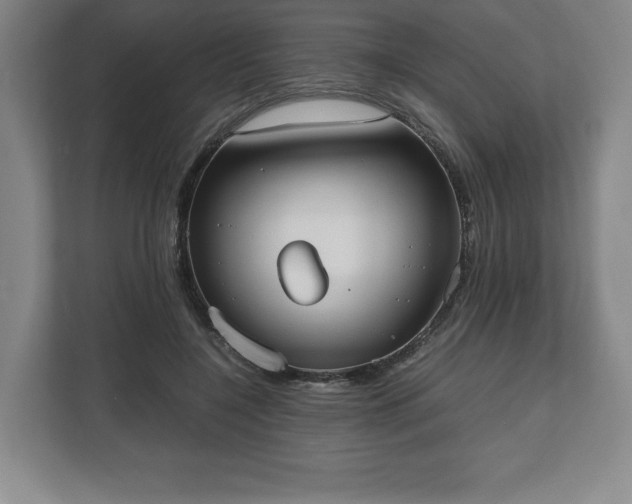 X0000112530548200908241509