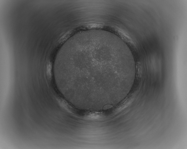 X0000112530550200908241509